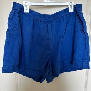 Blue Everlane Shorts